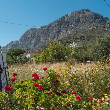 Principessa Telendos Βίλα Κάλυμνος Εξωτερικό φωτογραφία